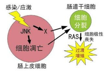 越忙事越多什么原理_水晶越戴越棉絮越多(2)