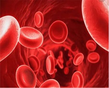 2. 造血干细胞-血液病患者