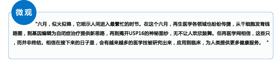 微观